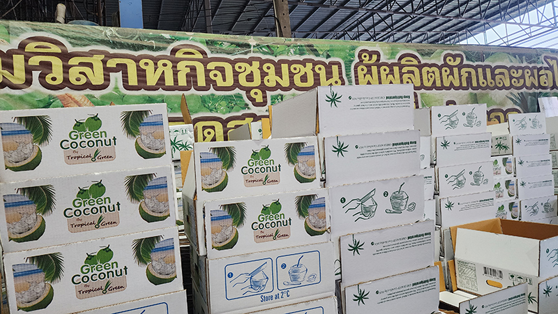 มะพร้าว