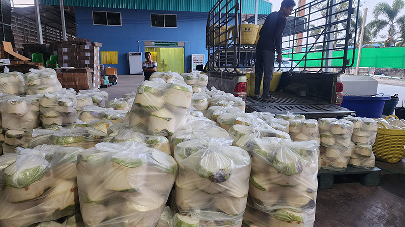 มะพร้าว