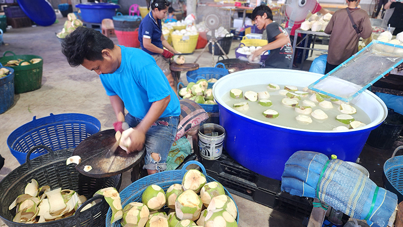 มะพร้าว