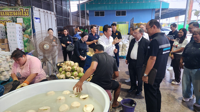 มะพร้าว