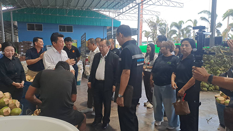 มะพร้าว