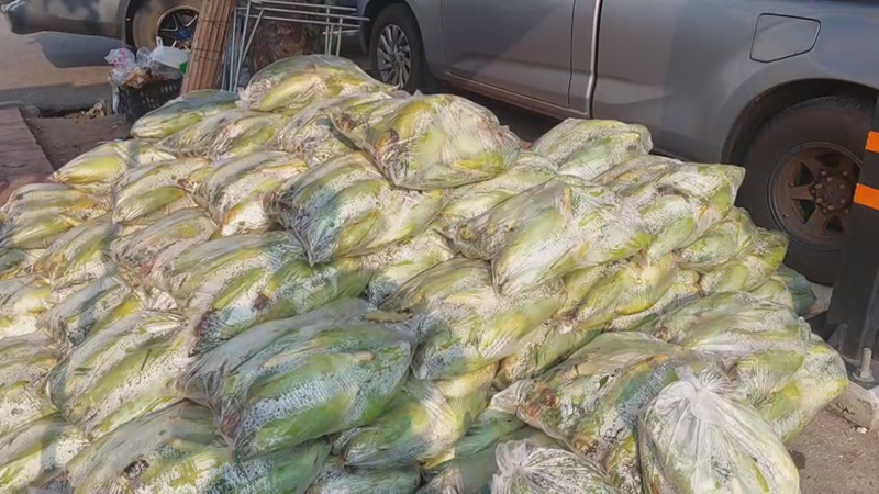 ข้าวโพดหวาน