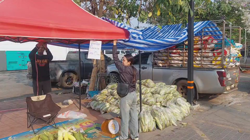 ข้าวโพดหวาน