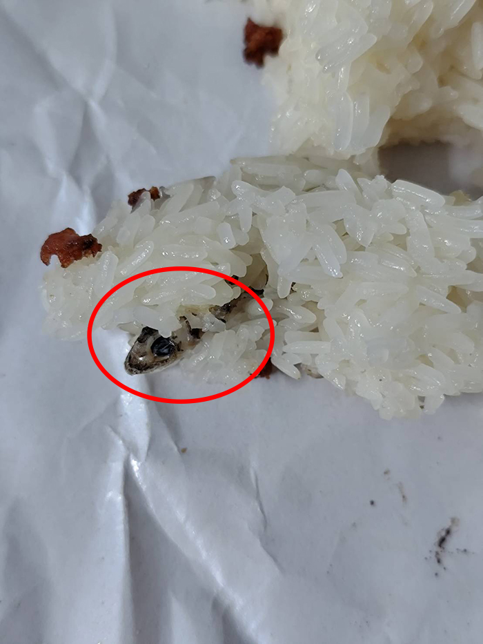 หนุ่มไรเดอร์