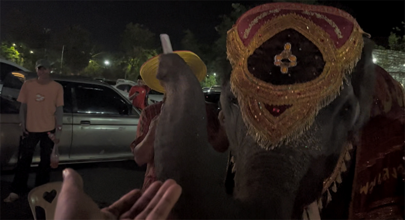 ช้างแสนรู้