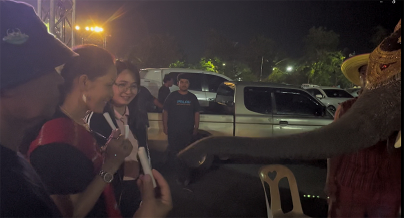 ช้างแสนรู้