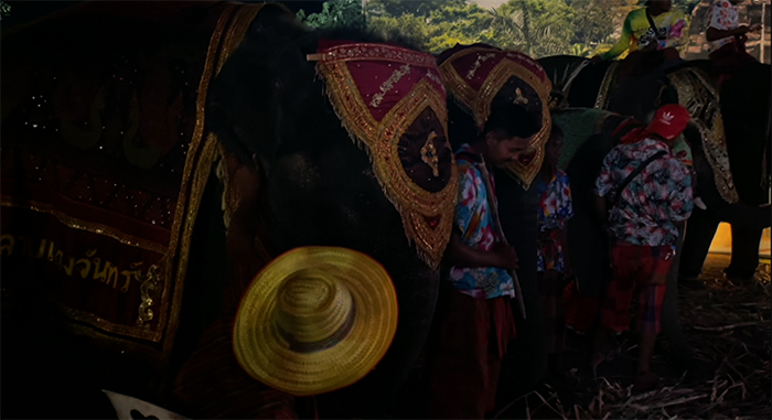 ช้างแสนรู้