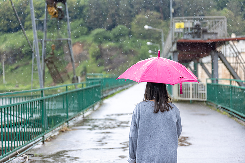 ฝนตก