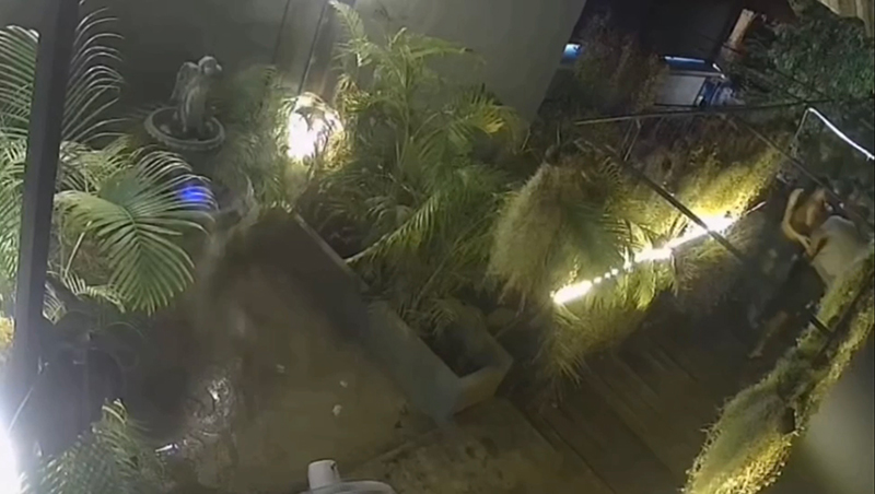 เสือ ดุสิต