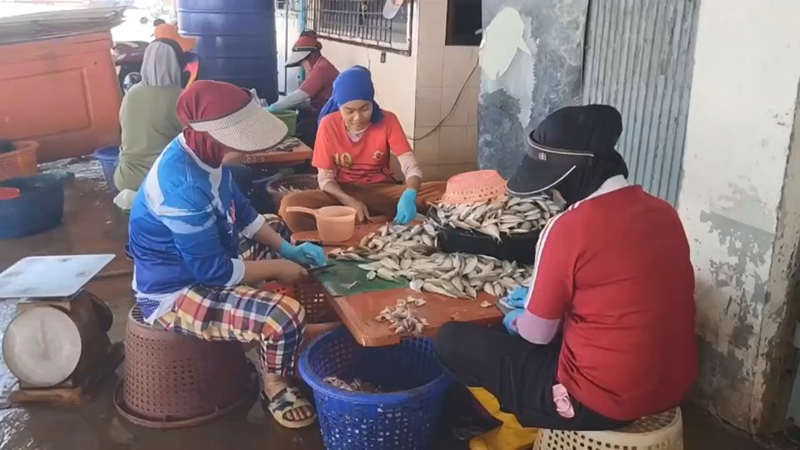 ประมงไทย