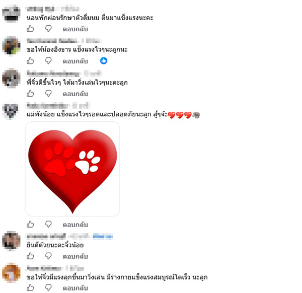 ช้าง