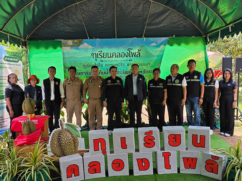 ทุเรียนคลองโพล้