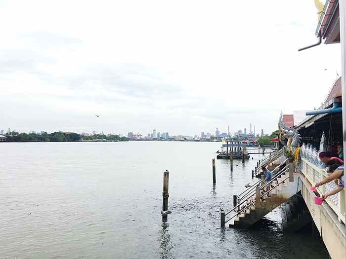 เฝ้าระวังน้ำทะเลหนุนสูง 