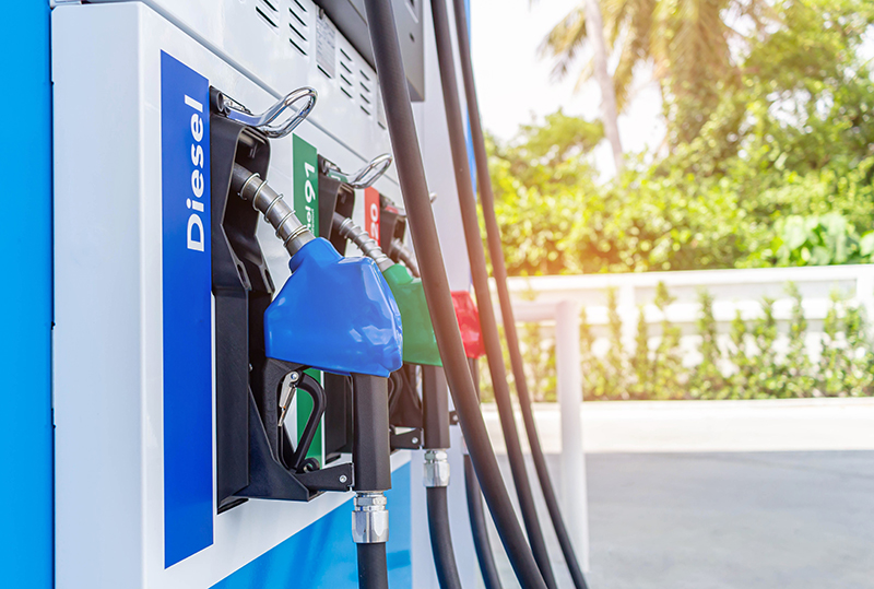 สวนดุสิตโพล