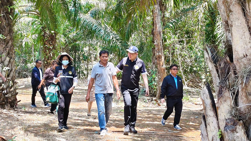 วิทยา แก้วมี