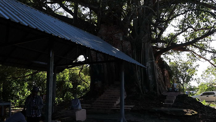 แห่ขอเลขเด็ด วิหารแกลบ วัดหนองเต่า