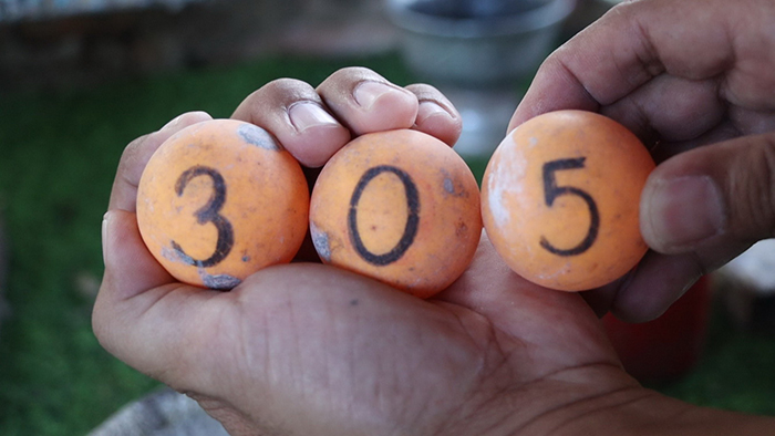 แห่ขอเลขเด็ด วิหารแกลบ วัดหนองเต่า