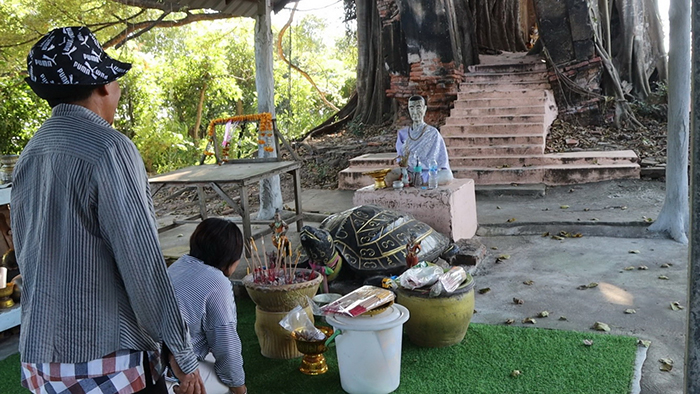 แห่ขอเลขเด็ด วิหารแกลบ วัดหนองเต่า