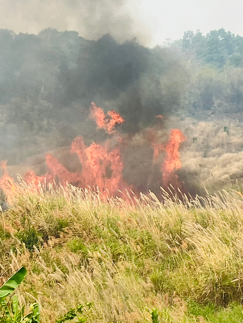 ไฟป่าเวียงแก่น