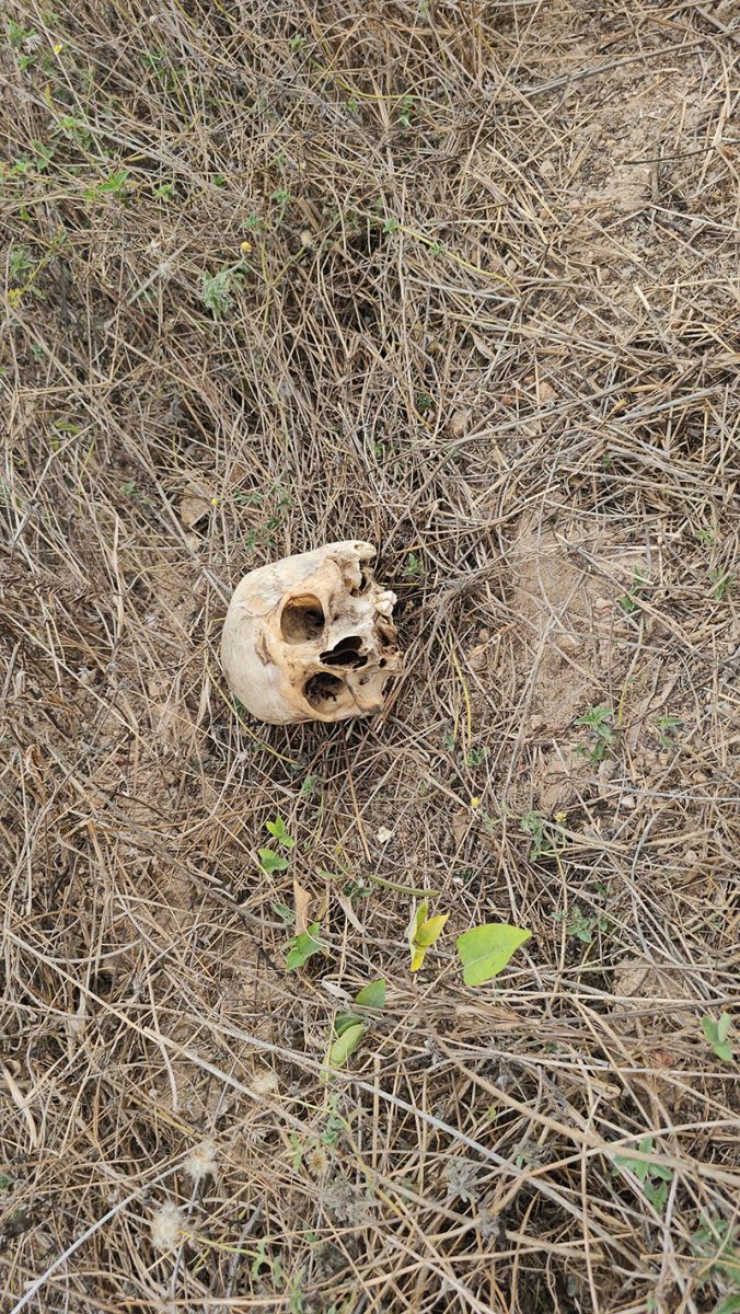 วิญญาณสาวเฮี้ยน