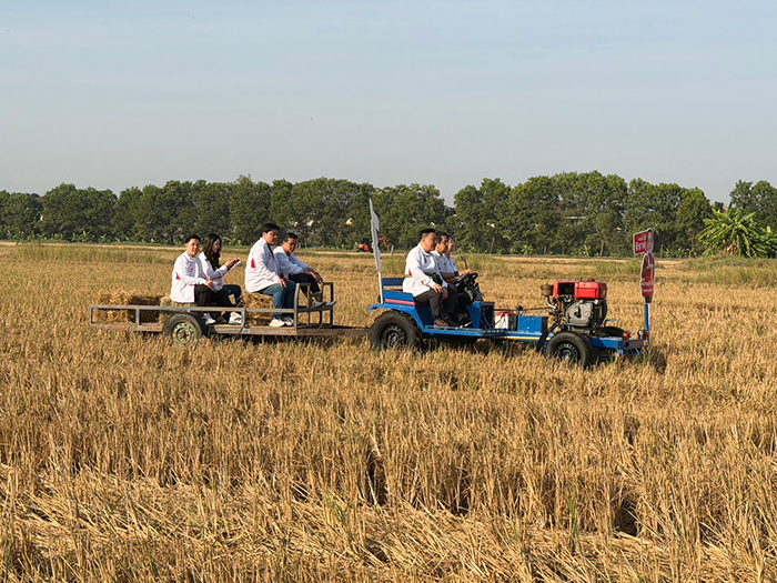 จุลพันธ์ 