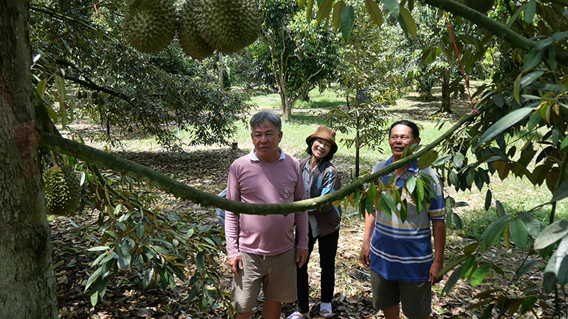 ทุเรียน