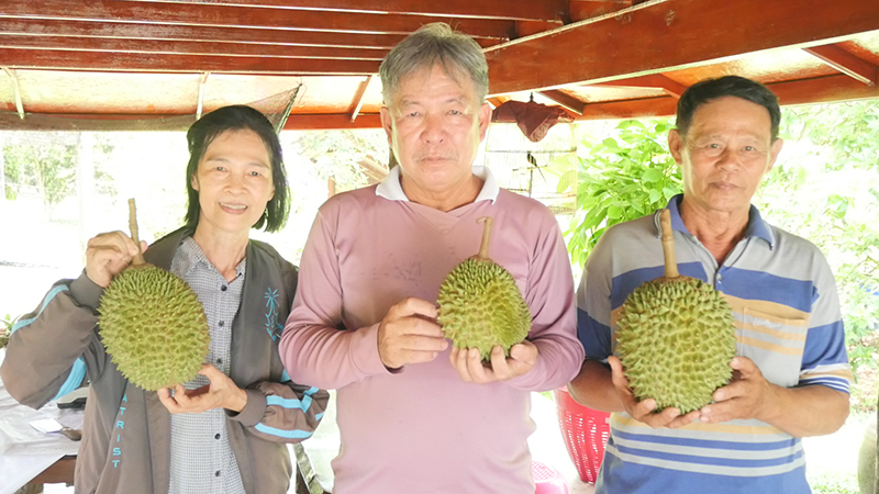 ทุเรียน