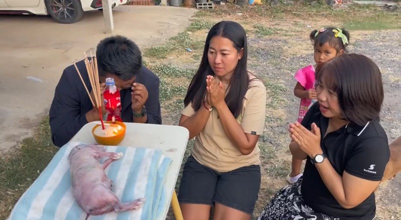 ลูกหมูประหลาด