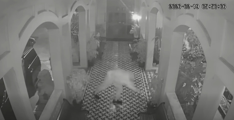 สนธิ ลิ้มทองกุล