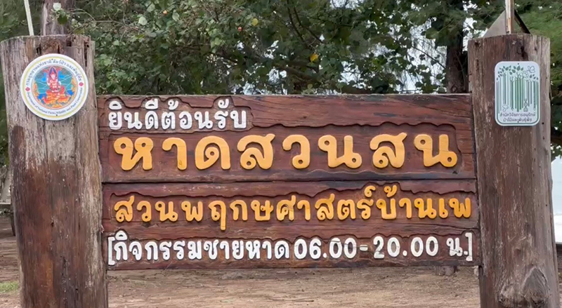 ปลิงทะเล