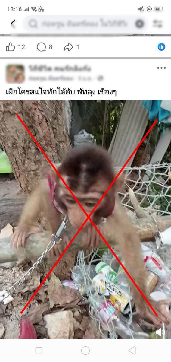 สัตว์ป่า