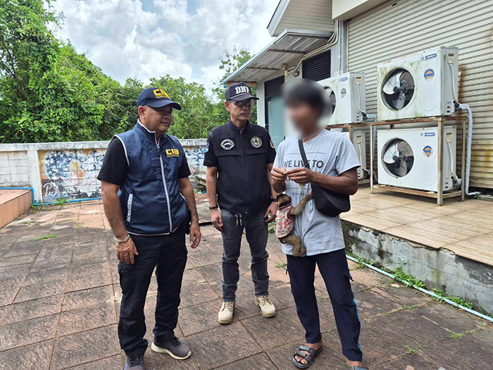 สัตว์ป่า