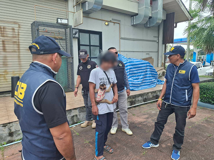 สัตว์ป่า