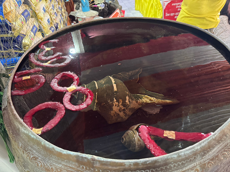 เลขเด็ดงวดนี้