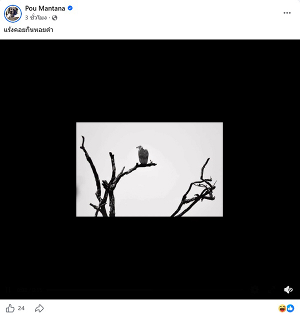  ปู มัณฑนา