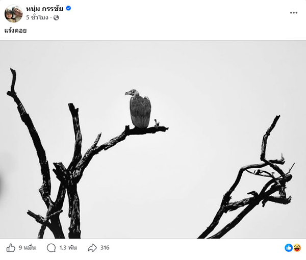 หนุ่ม กรรชัย