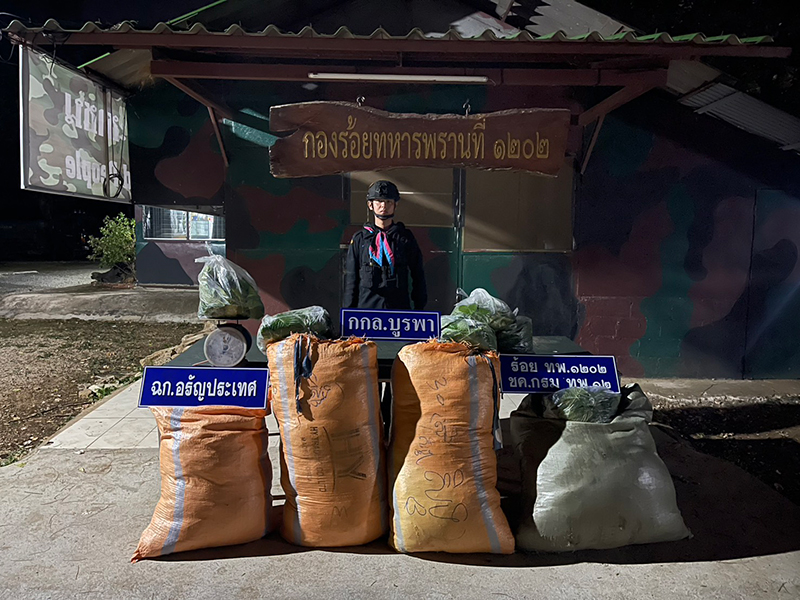 ใบกระท่อม