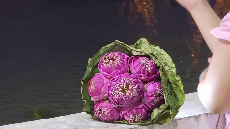 ดอกบัวแดง