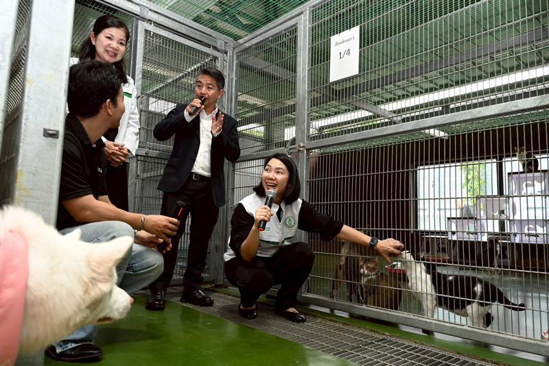 เจ้าหน้าที่ กทม. ให้บริการฉีดวัคซีนป้องกันโรคพิษสุนัขบ้าฟรี