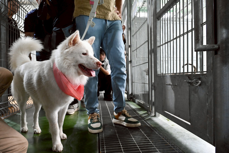 กิจกรรมประชาสัมพันธ์การดูแลสัตว์เลี้ยงอย่างรับผิดชอบโดย กทม.