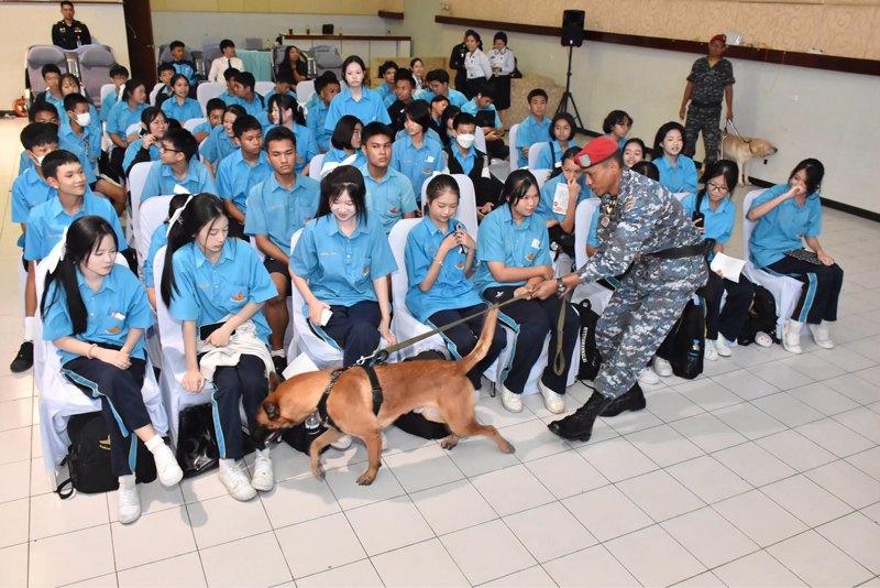 การสาธิตการตรวจค้นยาเสพติดโดยสุนัขทหารกองทัพอากาศในงานรณรงค์