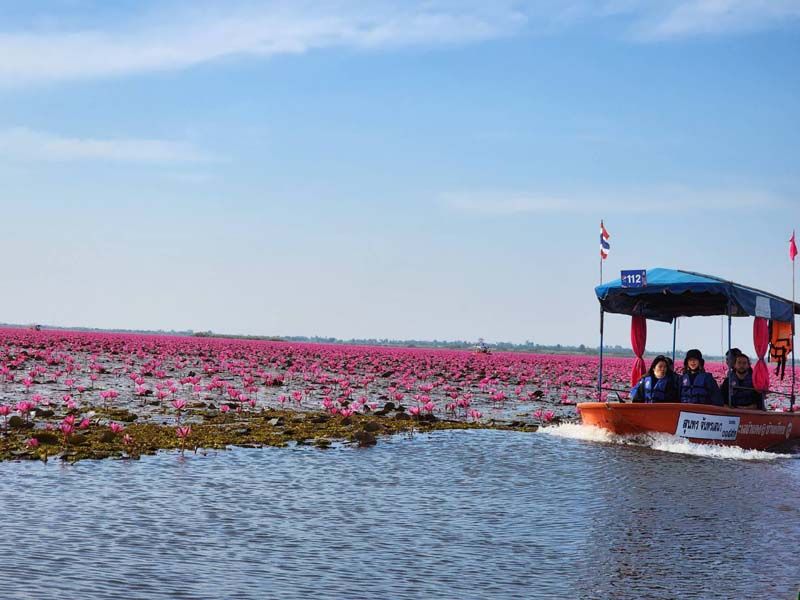 ทะเลบัวแดง