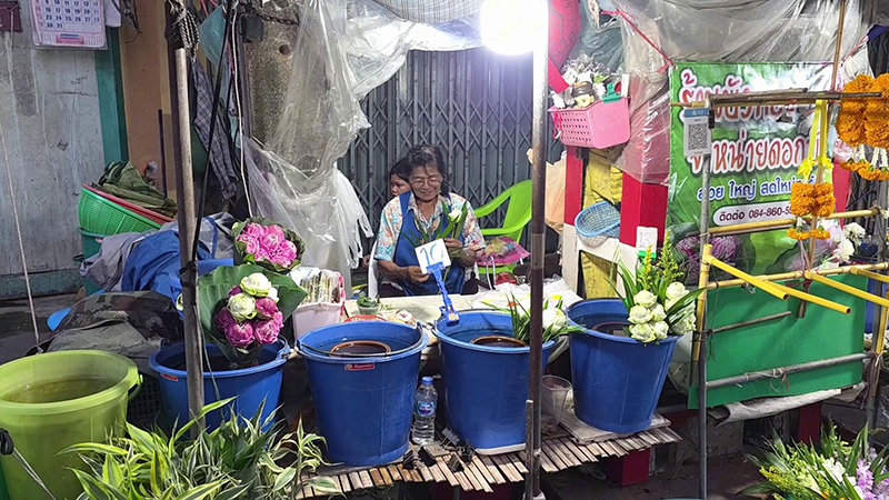 ดอกบัวแดง