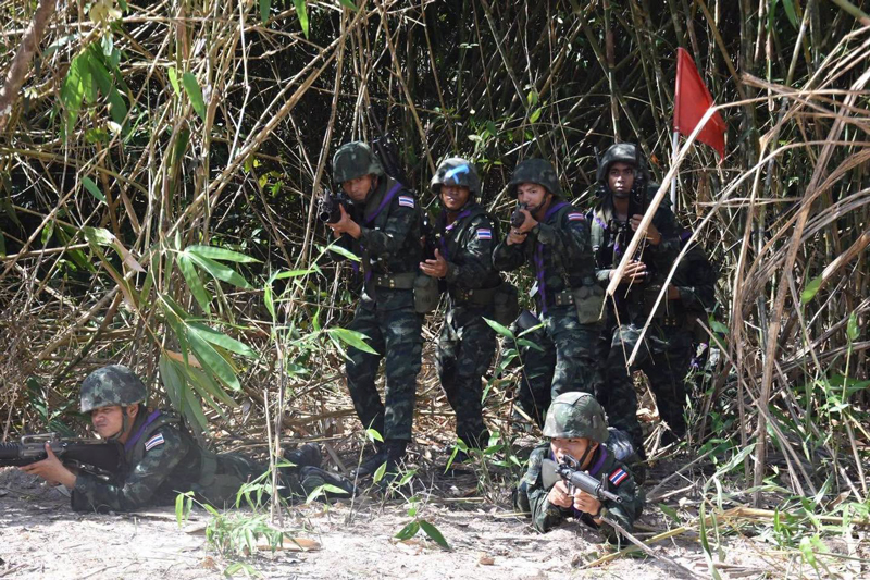 การเพิ่มขีดความสามารถทางยุทธวิธีของกองทัพบก