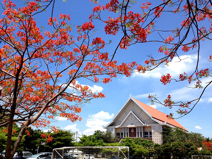 โรงเรียนไผทอุดมศึกษา ไปต่อ