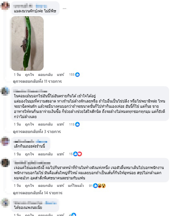 ไข่ของมวนผักบุ้ง