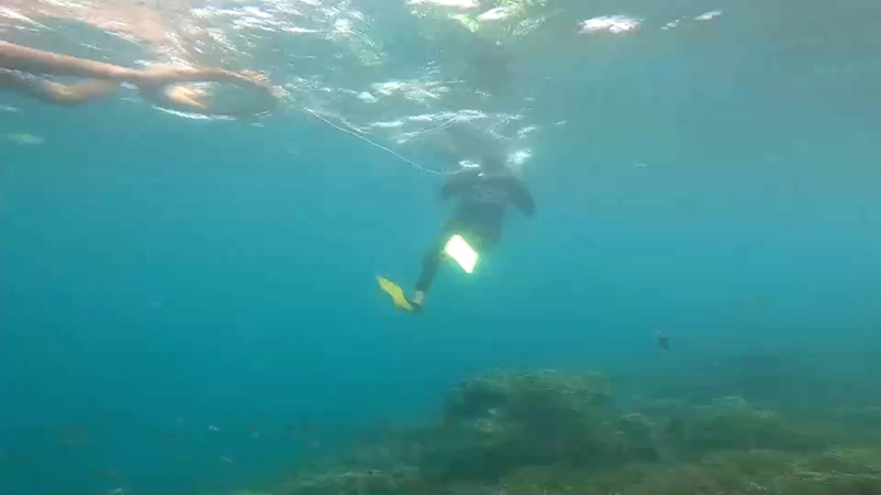 เศรษฐกิจ