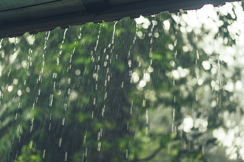 ฝนตก