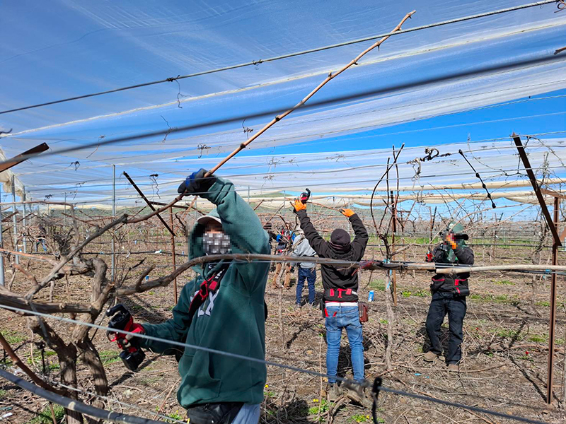 แรงงานไทย