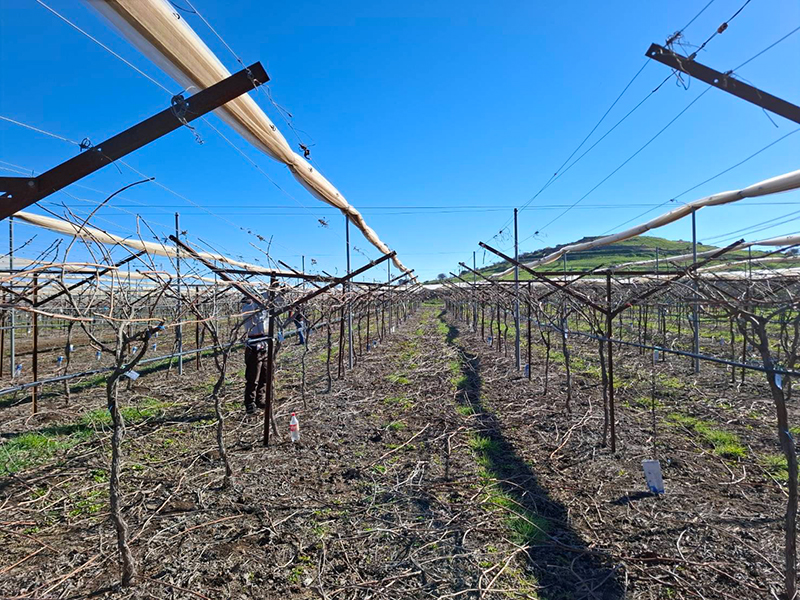 แรงงานไทย